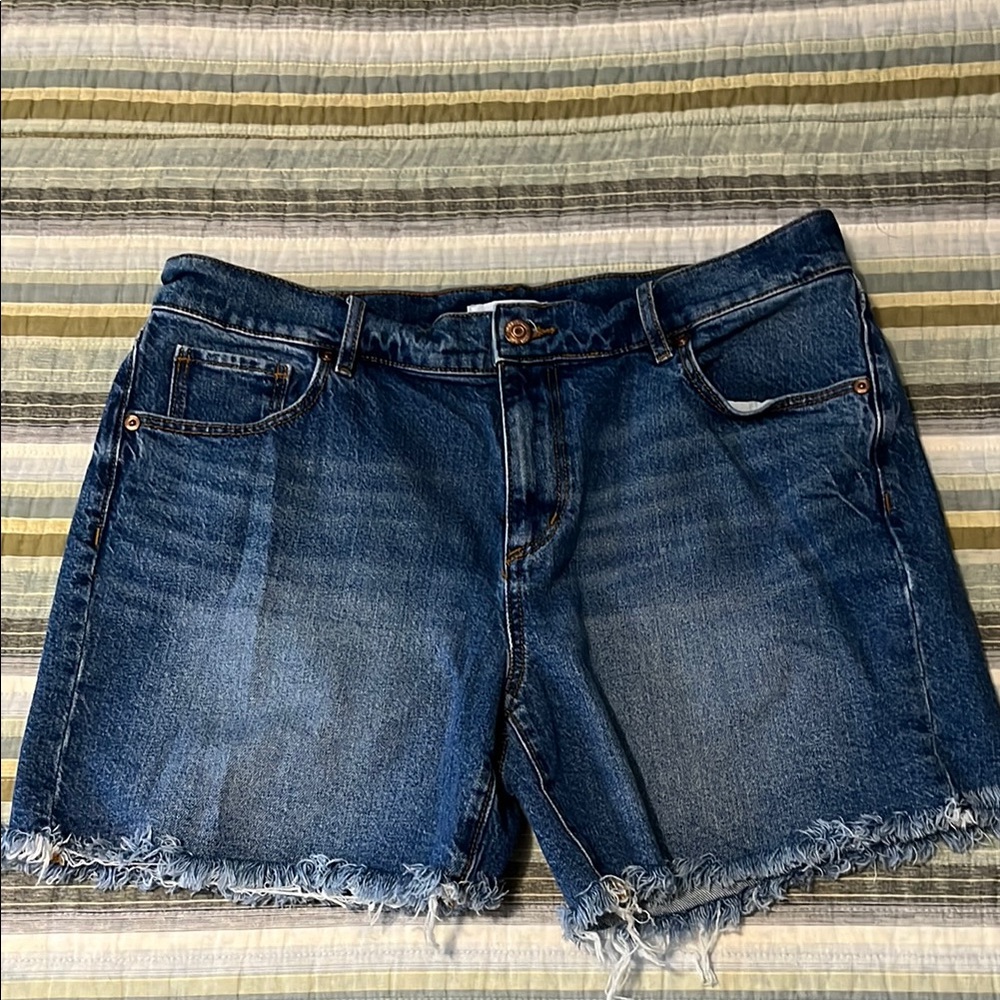 LOFT Blue Jean Shorts with Distressed Detailing